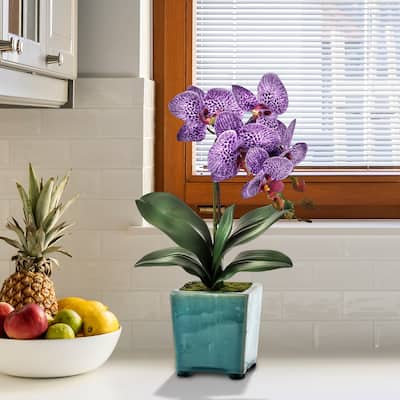 Footed Pot Phaleanopsis 18"