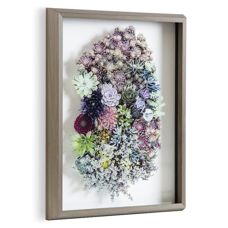 Kate and Laurel Blake Colony Succulent Framed Printed Photograph on Glass by F2 Images, 16x20 Gray, Vibrant Botanical Wall Décor - 16x20 - Plastic - Grey
