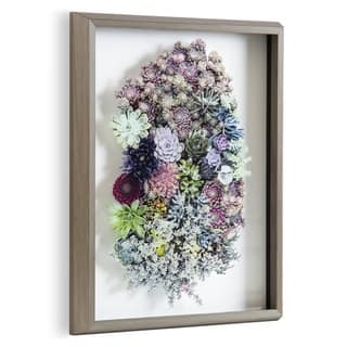 Kate and Laurel Blake Colony Succulent Framed Printed Photograph on Glass by F2 Images, 16x20 Gray, Vibrant Botanical Wall Décor