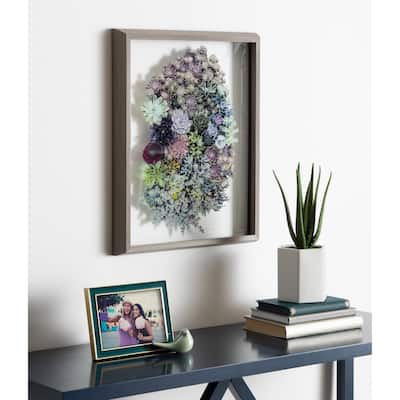 Kate and Laurel Blake Colony Succulent Framed Printed Photograph on Glass by F2 Images, 16x20 Gray, Vibrant Botanical Wall Décor