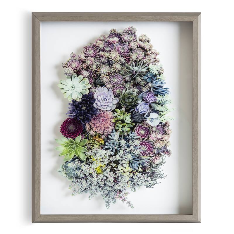 Kate and Laurel Blake Colony Succulent Framed Printed Photograph on Glass by F2 Images, 16x20 Gray, Vibrant Botanical Wall Décor