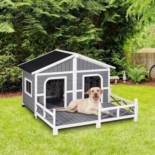 raised dog house