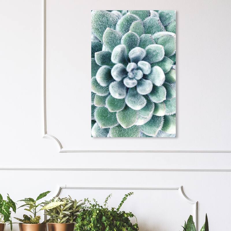 Wynwood Studio 'Succulent Zoom III' Floral and Botanical Wall Art Canvas Print Botanicals - Green, White - 24 x 36