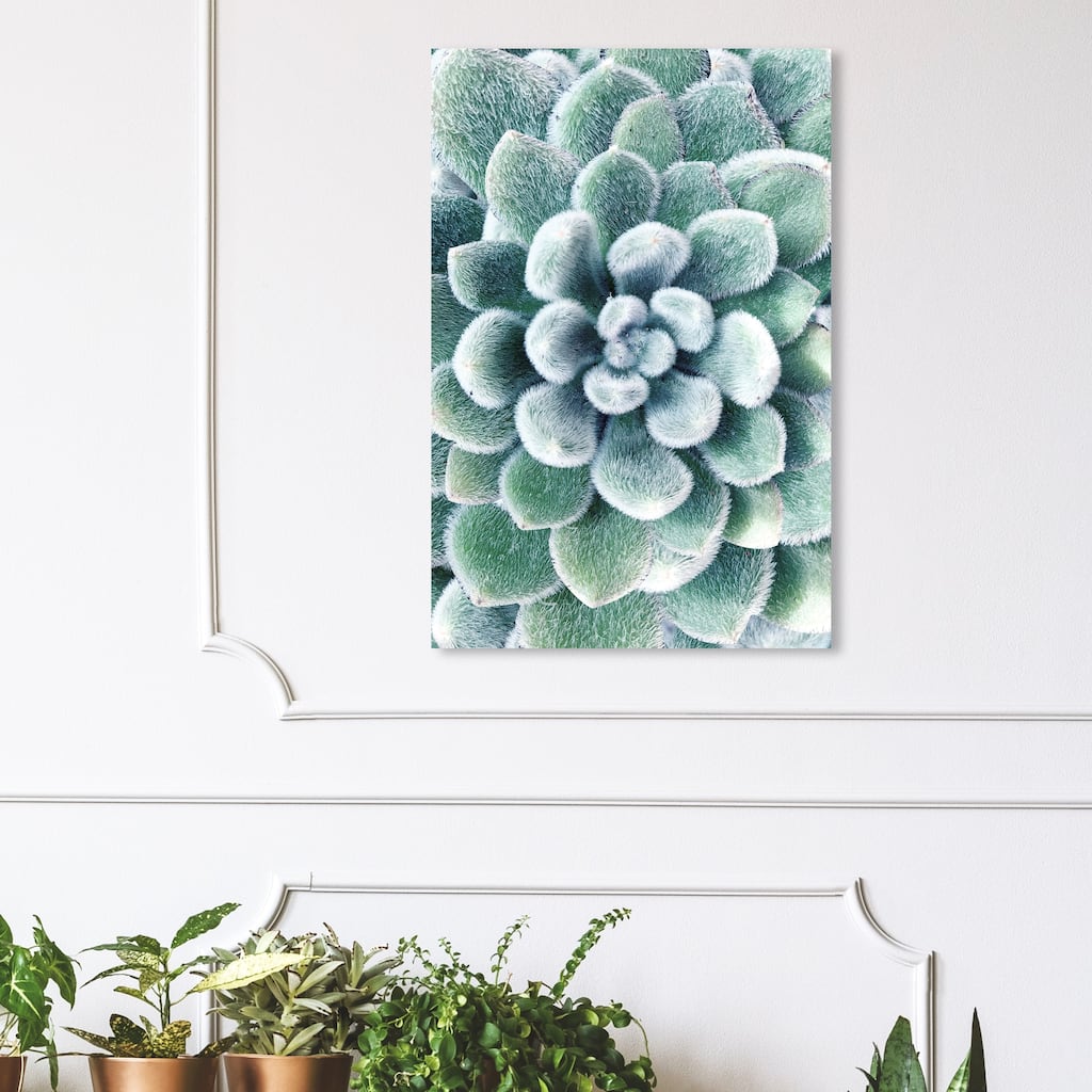 Wynwood Studio 'Succulent Zoom III' Floral and Botanical Wall Art Canvas Print Botanicals - Green, White