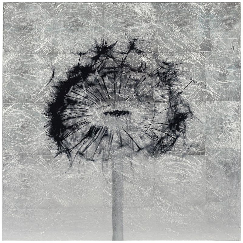 "Dandelion" Wall Art Reverse Print on Tempered Glass & Silver Leaf