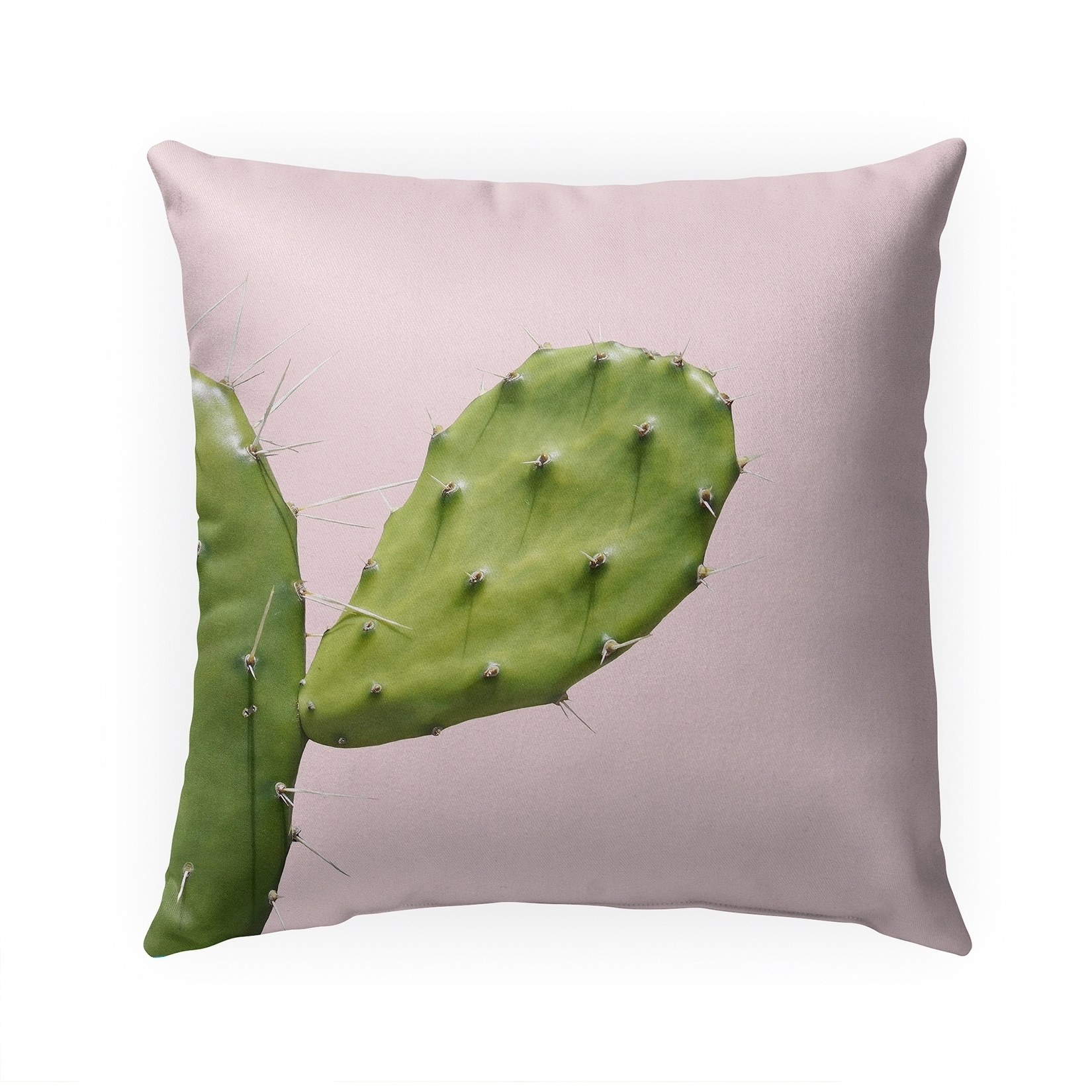 outdoor cactus pillow