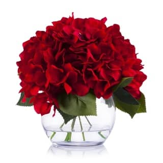 https://ak1.ostkcdn.com/images/products/30810459/Enova-Home-Red-Silk-Hydrangea-Flower-Arrangement-in-Clear-White-Vase-with-Faux-Water-For-Home-Wedding-Centerpiece-As-Is-Item-30671e7f-b048-4e4a-9c0b-8222743706b8_320.jpg?impolicy=medium