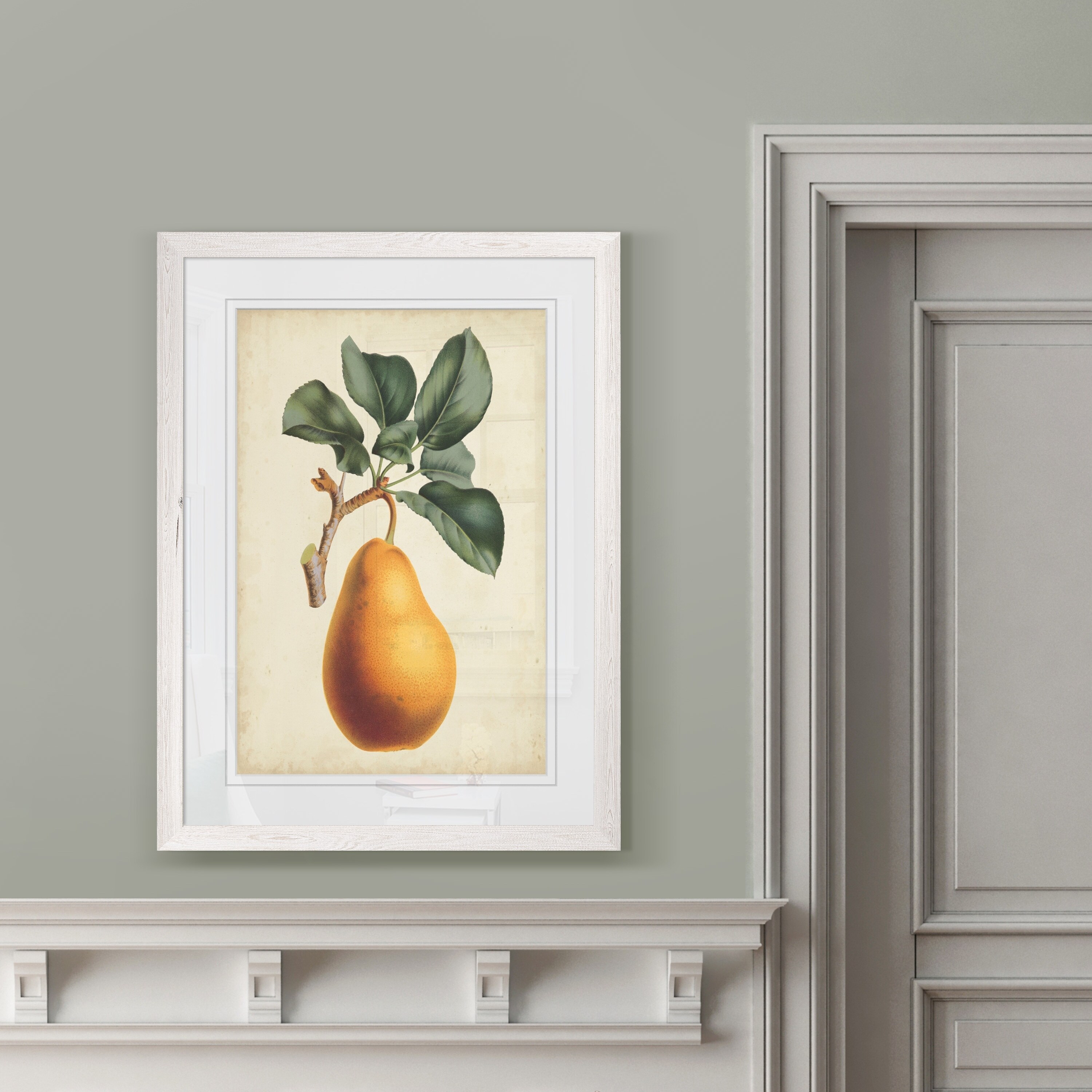 Antique Pear Botanical I-Framed - White - 16X22 - Bed Bath