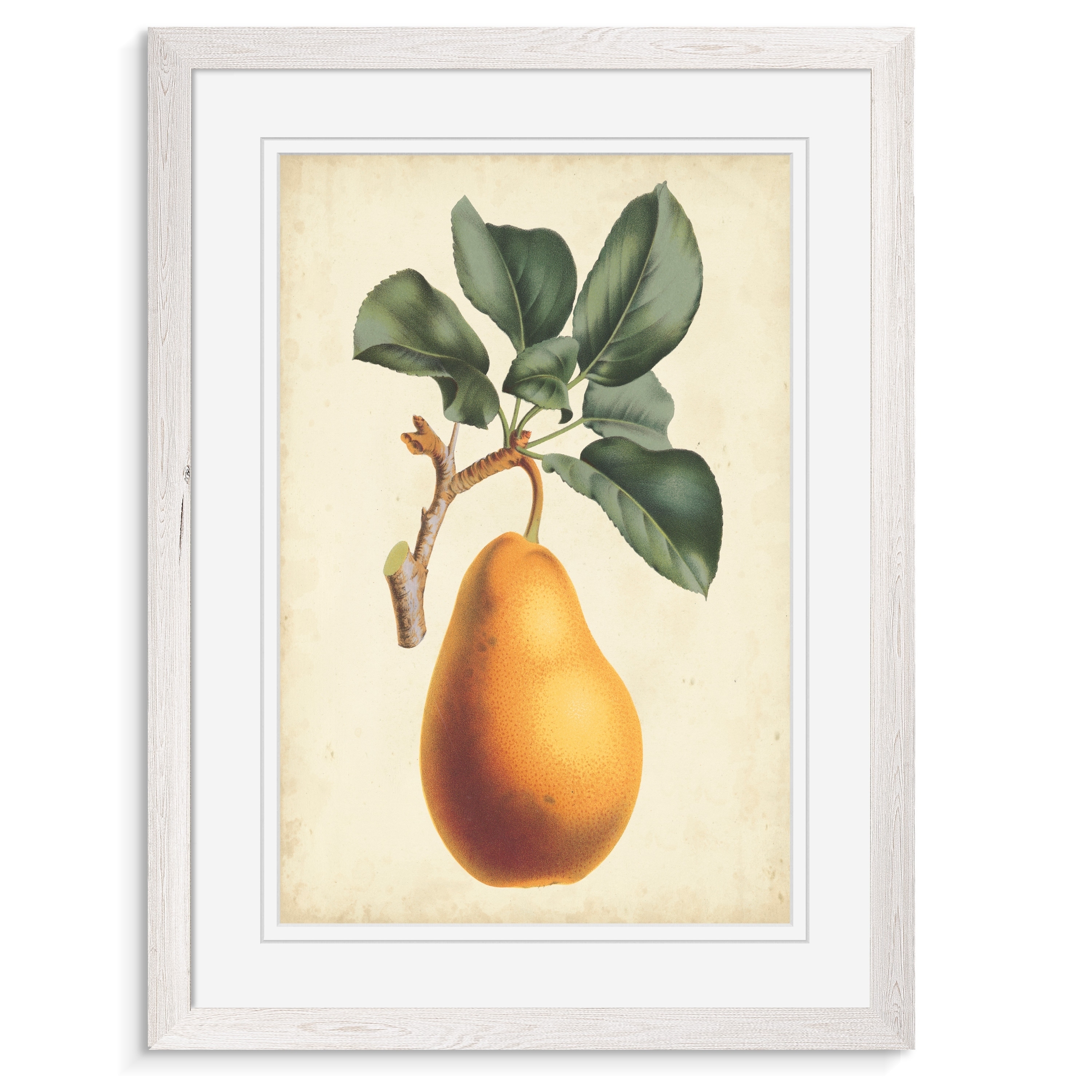 NATURA ＆ stockarts. - antique umber Umber - Discontinued | Inhaus Surfaces