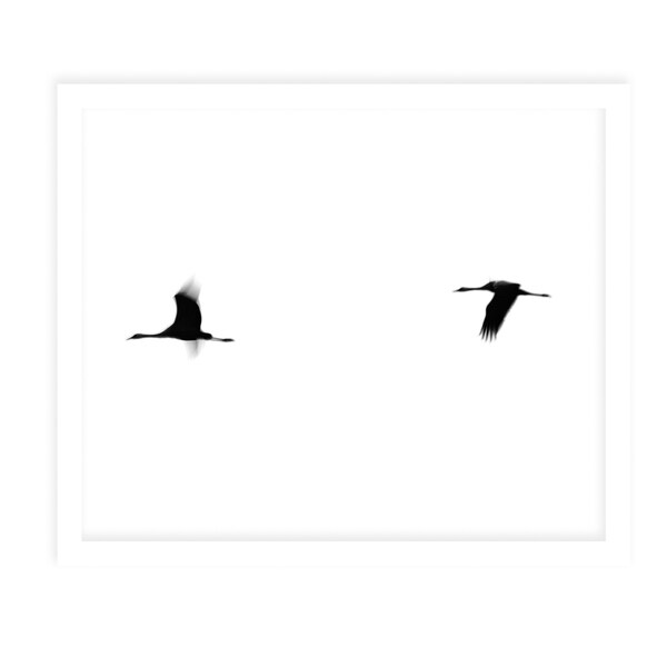 CRANES II White Framed Giclee Print By Tal Paz Fridman