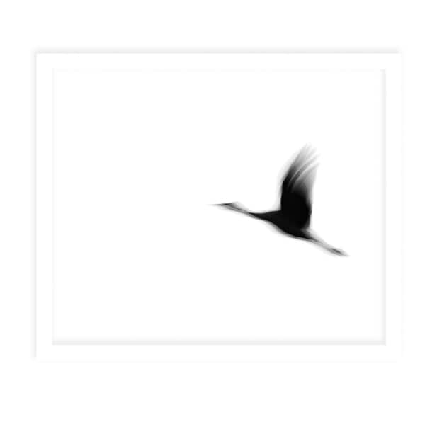 CRANE White Framed Giclee Print By Tal Paz Fridman