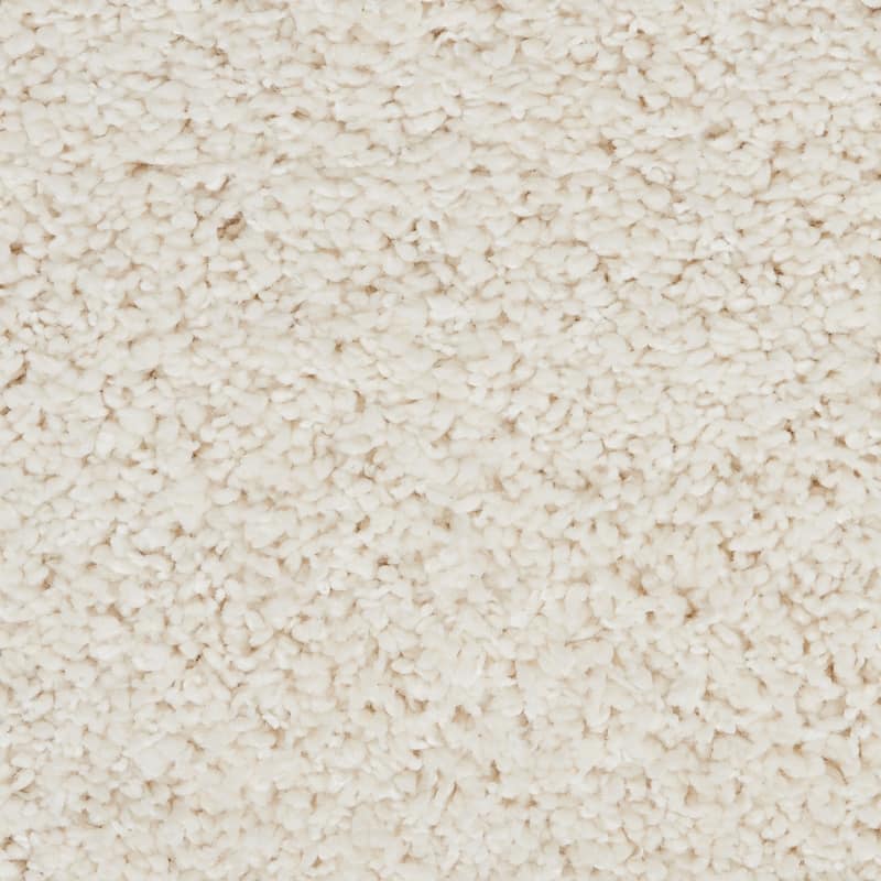 Nourison Ashland Area Rug