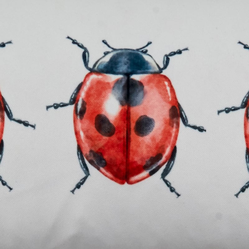 Throw Pillow With Lady Bugs Design