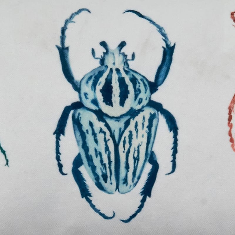 Throw Pillow With Bugs Design