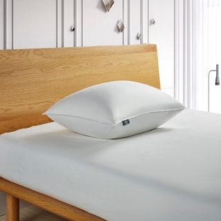 Shop Serta Bed Pillows on DailyMail Shop Serta Bed Pillows on DailyMail