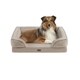 preview thumbnail 4 of 7, Martha Stewart Harley Pet Couch