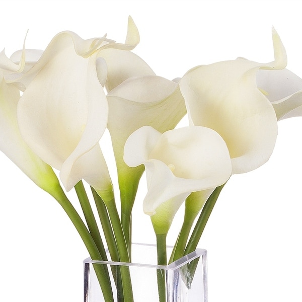 Enova Home Artificial Calla Lily Arrangement in Glass Vase - Cream