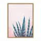 Kate and Laurel Sylvie Succulent in Pink Framed Canvas by Teju Reval - Natural