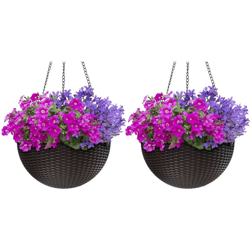 Maliki Self-watering Hanging Planters (Set of 2) by Havenside Home