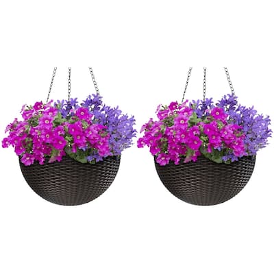Maliki Self-watering Hanging Planters (Set of 2) by Havenside Home