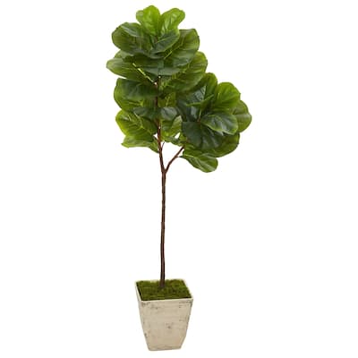 62" Fiddle Leaf Artificial Tree in Country White Planter