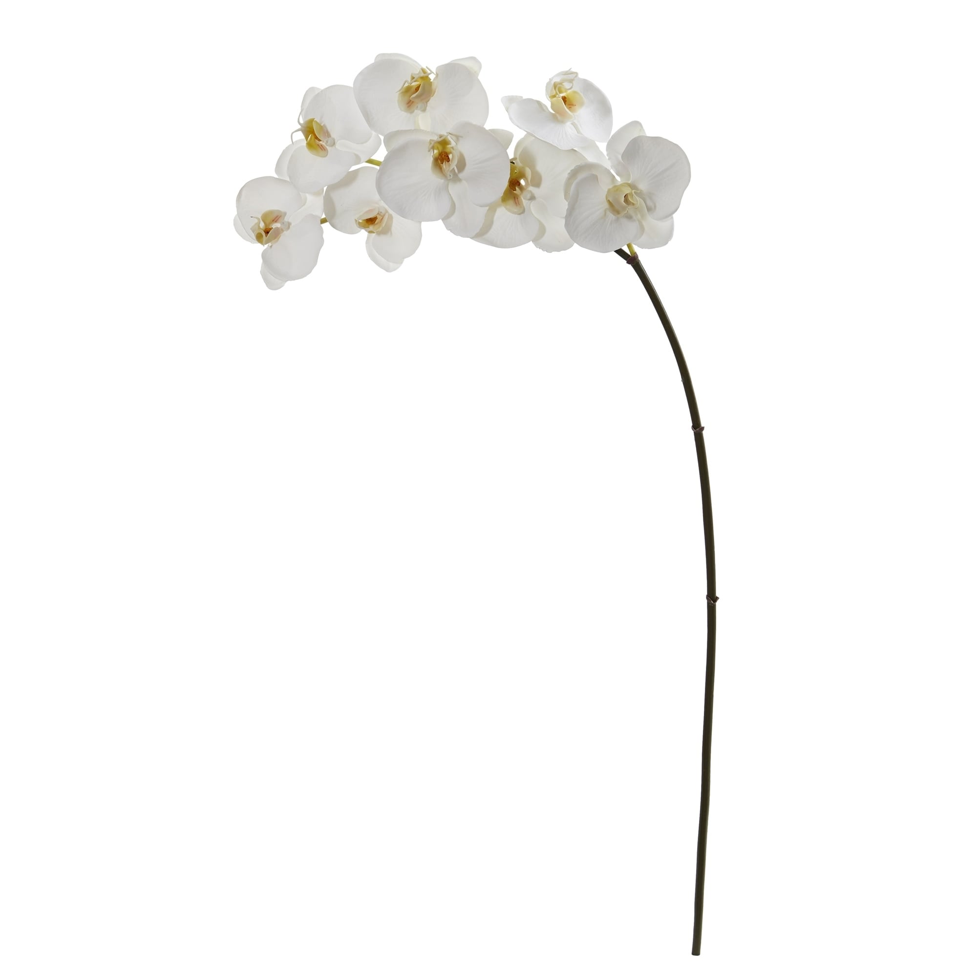 35" Phalaenopsis Orchid Artificial Flower (Set of 6)