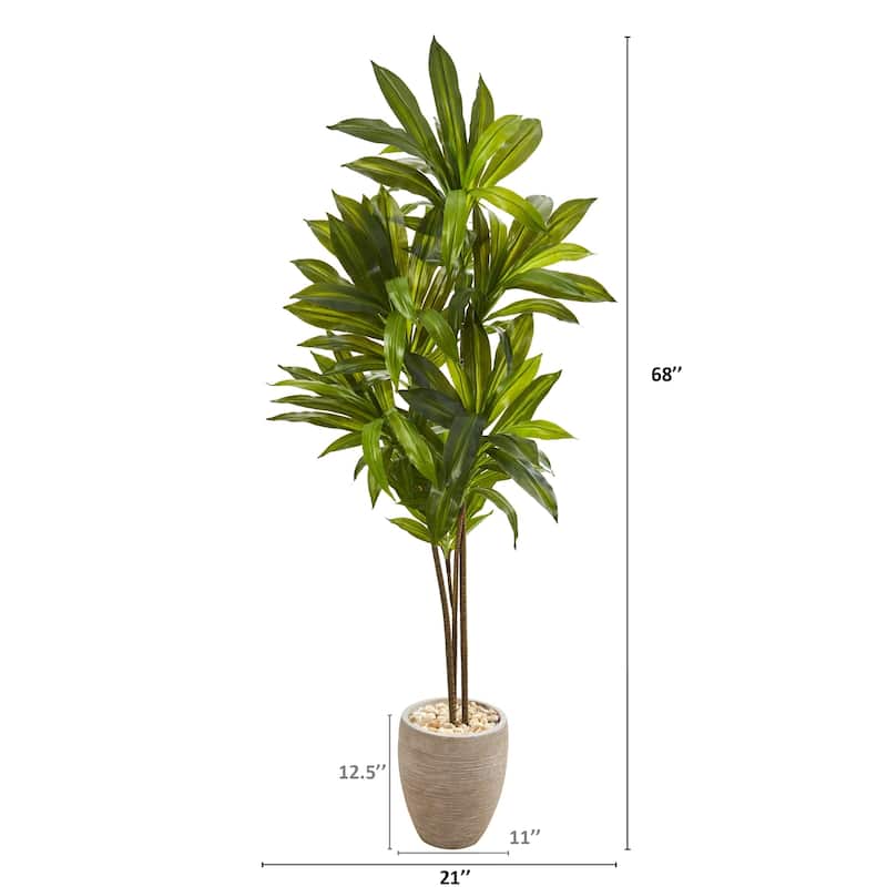68" Dracaena Artificial Plant in Sand Colored Planter (Real Touch)