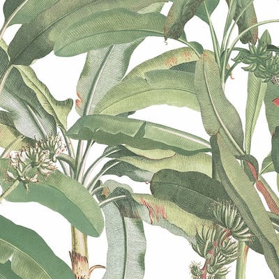 Polynesian Leaves Wallpaper