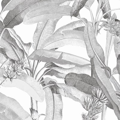 Polynesian Leaves Wallpaper