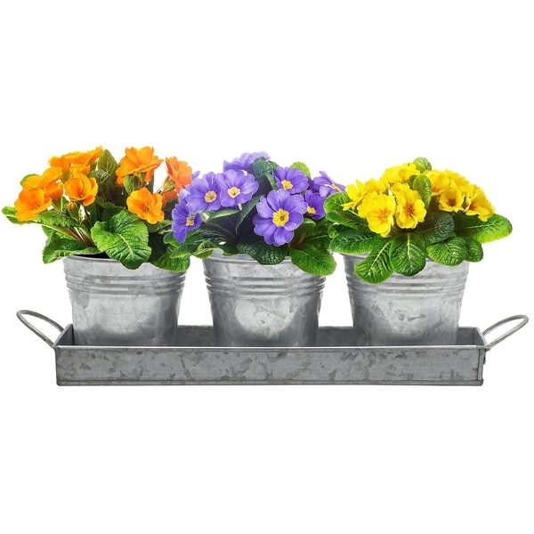 Decor Flower Pot and Tray Set - Rustic Multi-use Caddy - 8' x 10' - 8' x 10'. Opens flyout.