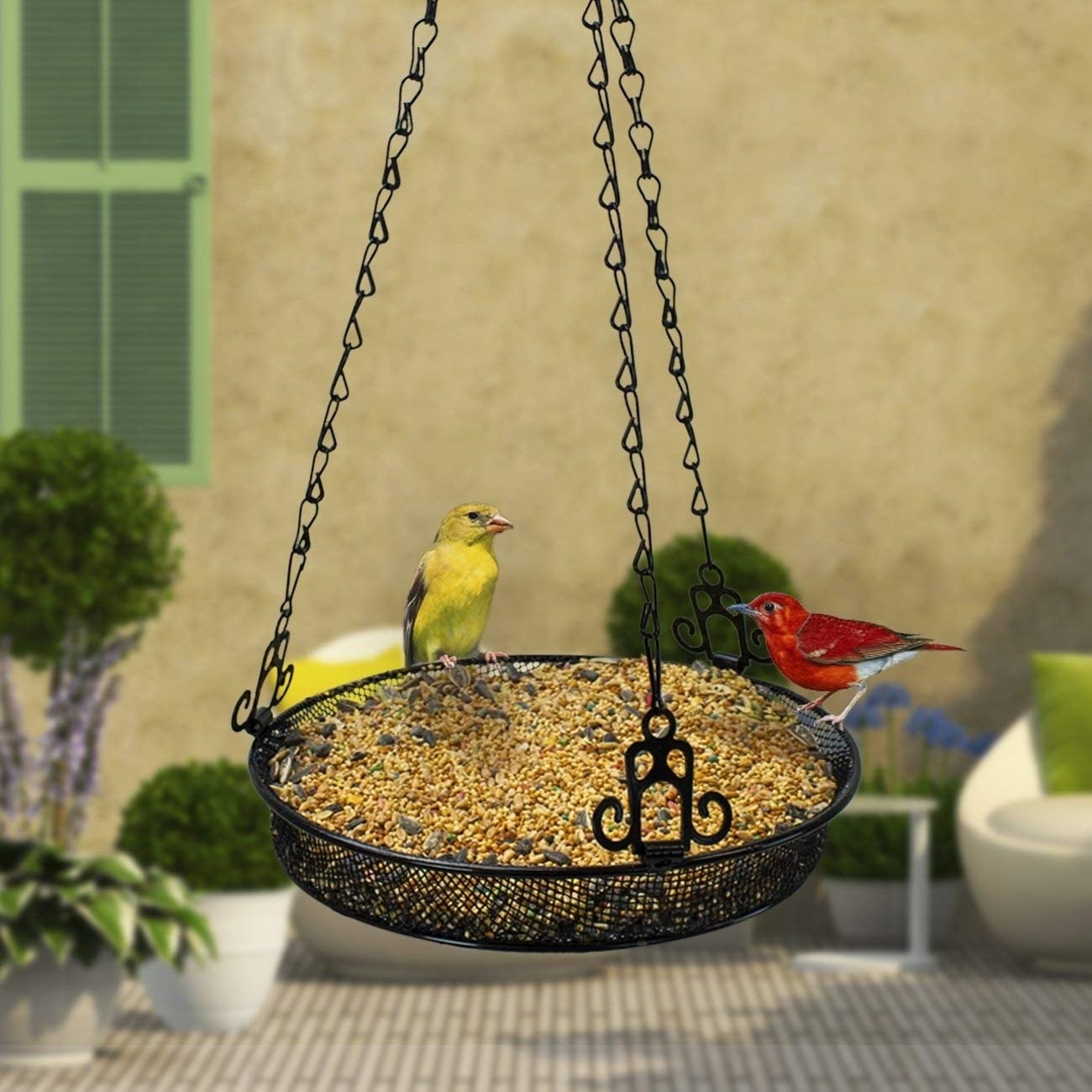 bird food hanging tray