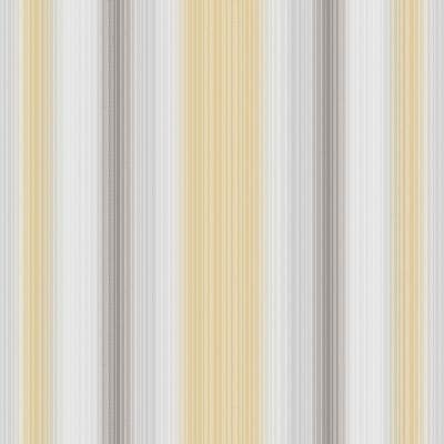 String Stripe Wallpaper