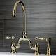 Option Polished Brass