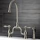 Option Brushed Nickel