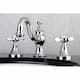 Option Polished Chrome