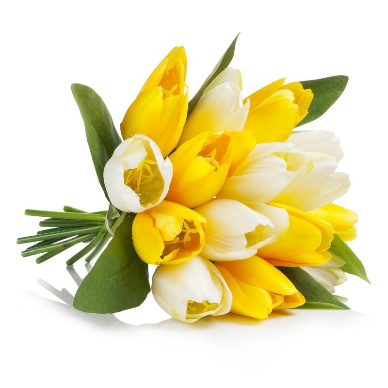 Enova Home Artificial 18 Heads Fake Tulips Silk Flowers in Glass Vase with Faux Water for Home Wedding Decoration - N/A
