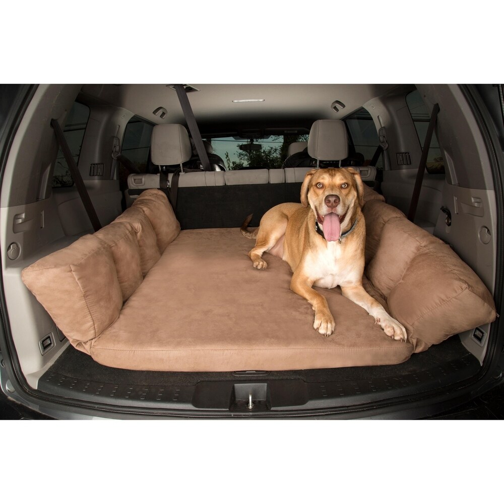 dog car travel accessories