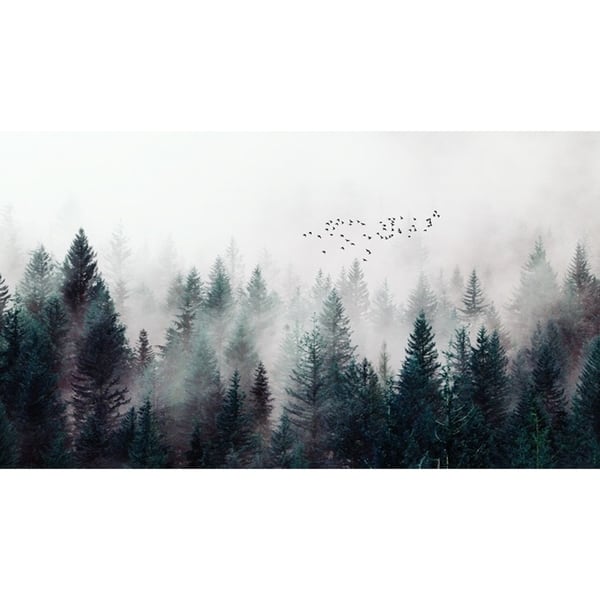 Misty Forest Nature Mountain Textile Wallpaper Overstock Misty Forest Nature Mountain Textile Wallpaper Overstock