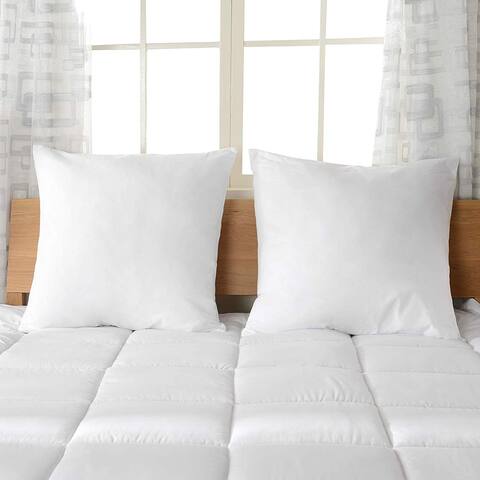 Cheer Collection Throw Pillows with Inserts (Set of 2)