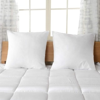 Cheer Collection Throw Pillows with Inserts (Set of 2)