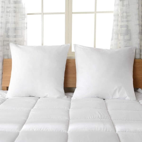 Set of 2 Throw Pillows - Bed Bath & Beyond