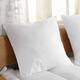 Cheer Collection Throw Pillows with Inserts (Set of 2)