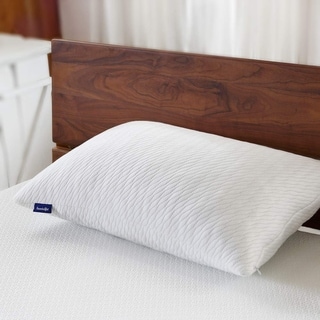 Overstock Sleeping Adjustable Bamboo Shop Overstock Bed Pillows on DailyMail