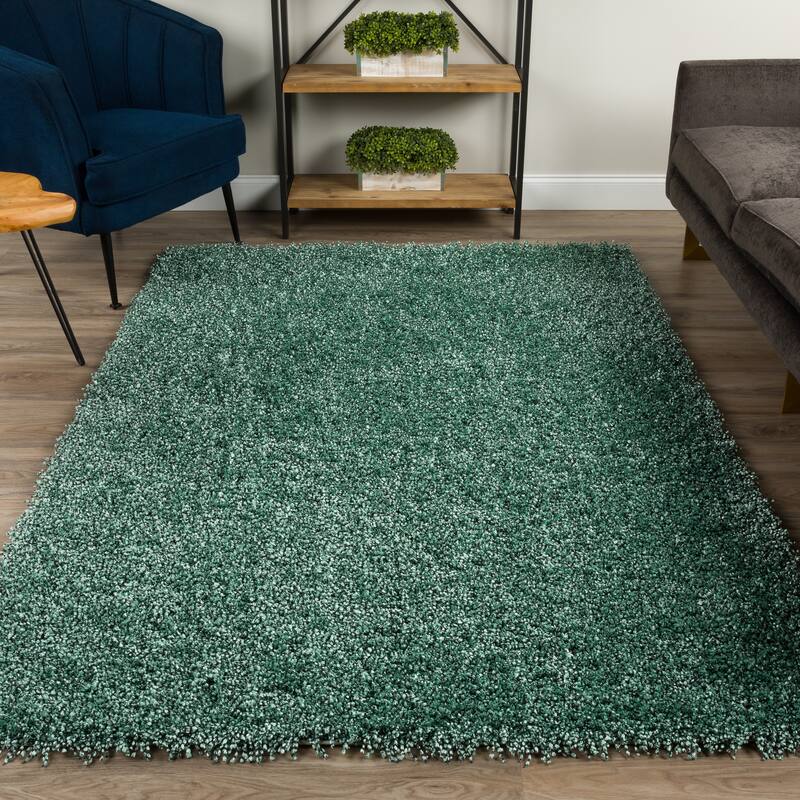 Addison Sommer Vibrantly Colored Shag Area Rug