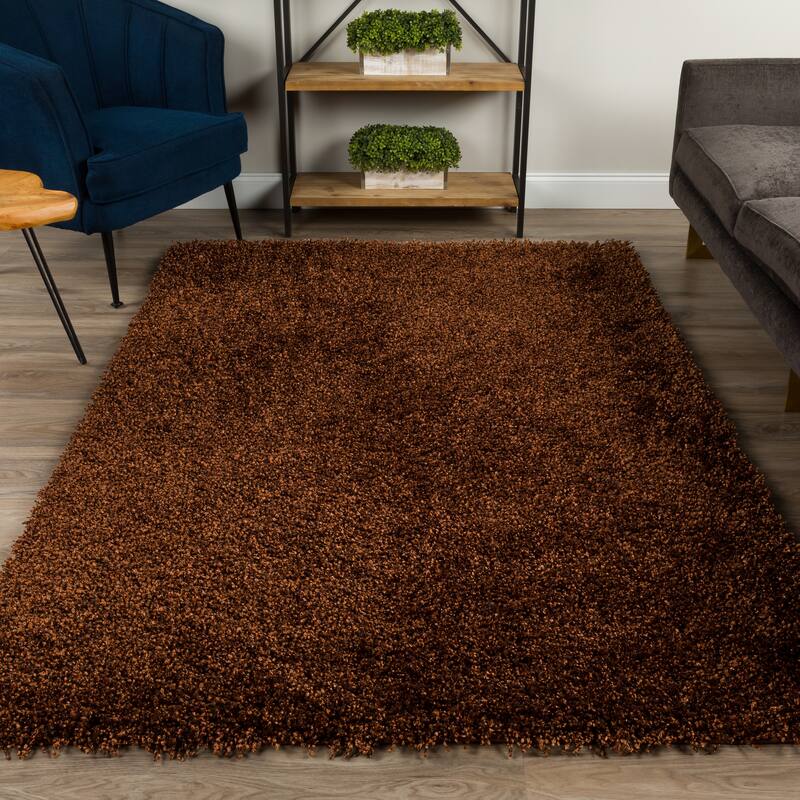 Addison Sommer Vibrantly Colored Shag Area Rug