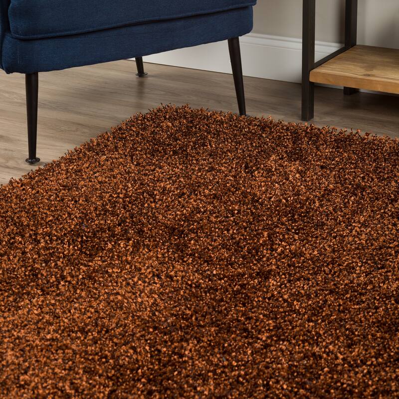 Addison Sommer Vibrantly Colored Shag Area Rug