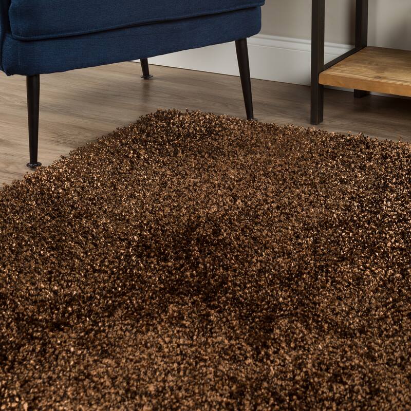 Addison Sommer Vibrantly Colored Shag Area Rug