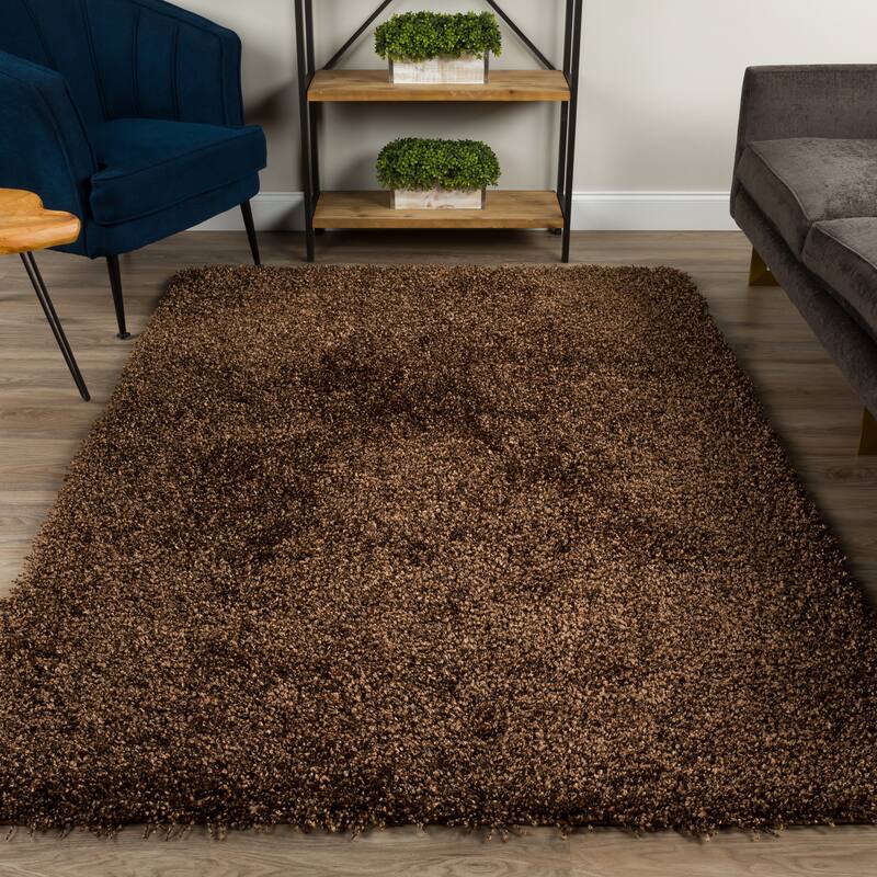 Addison Sommer Vibrantly Colored Shag Area Rug