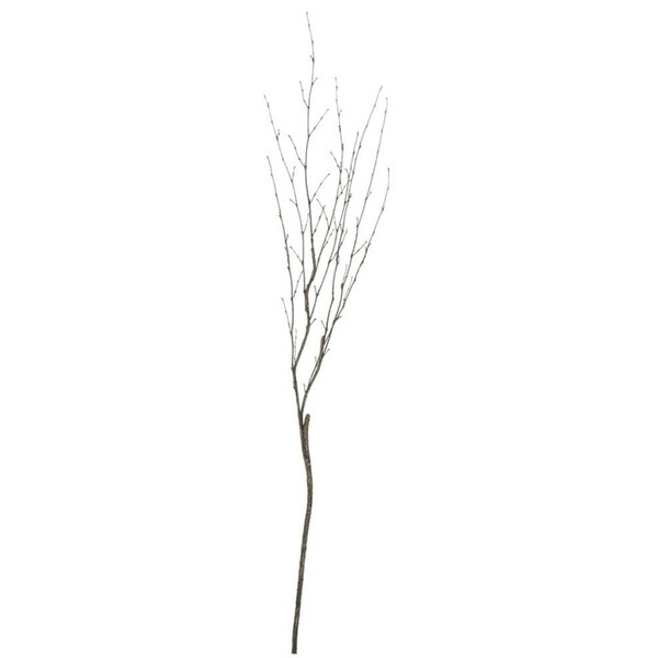 branch twig