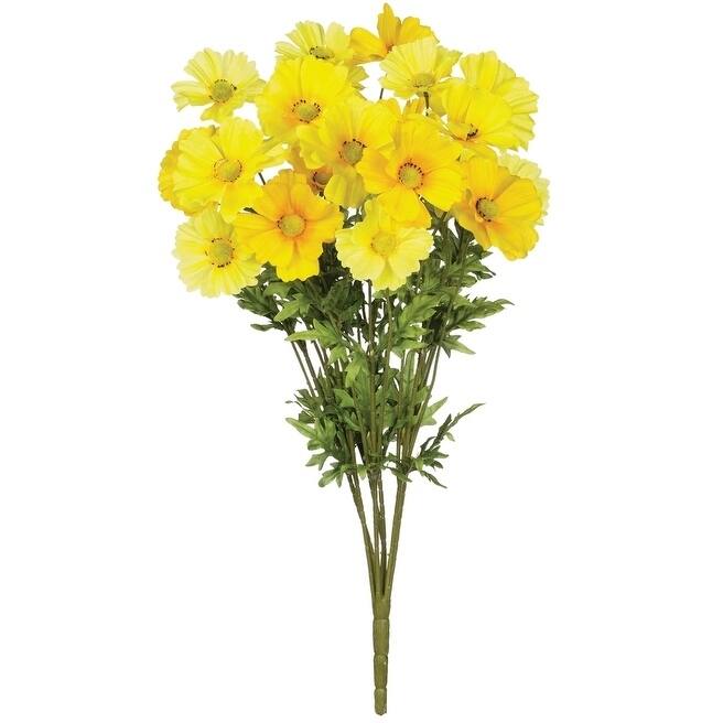 Sullivans Cosmos Bush